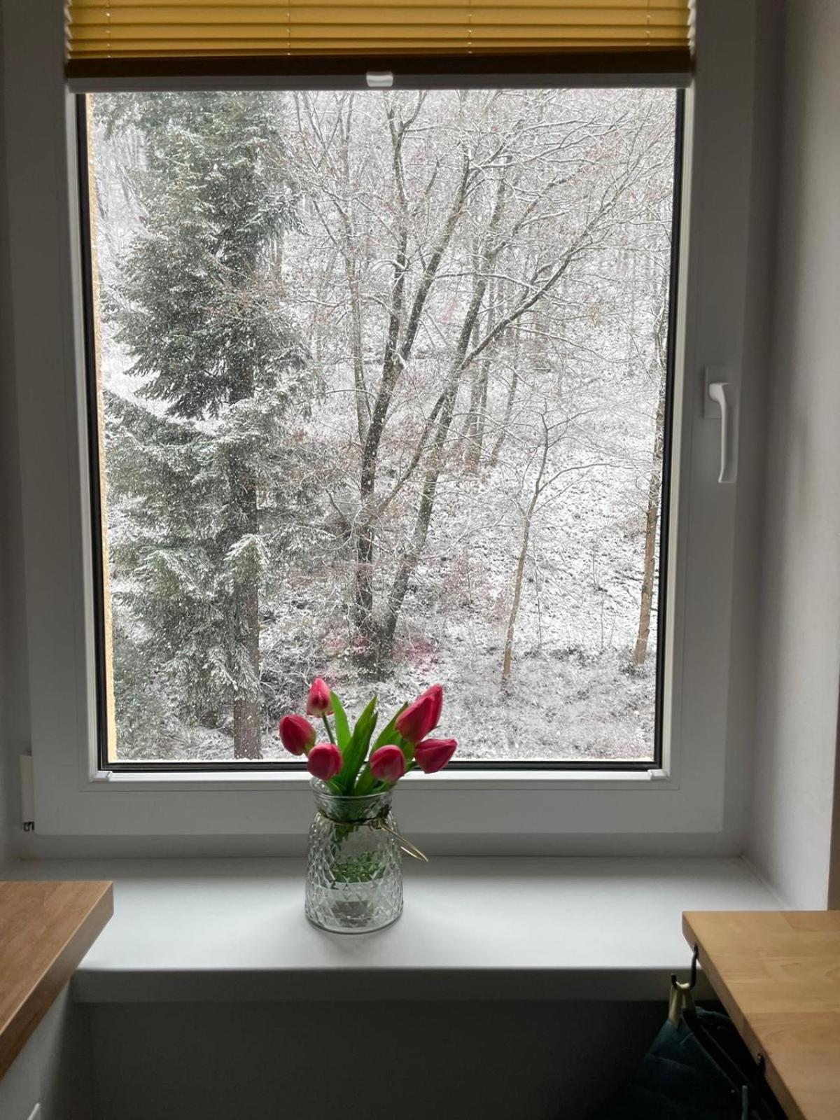 יאסימוב Apartman Claudia - Rezidence K Lanovce מראה חיצוני תמונה